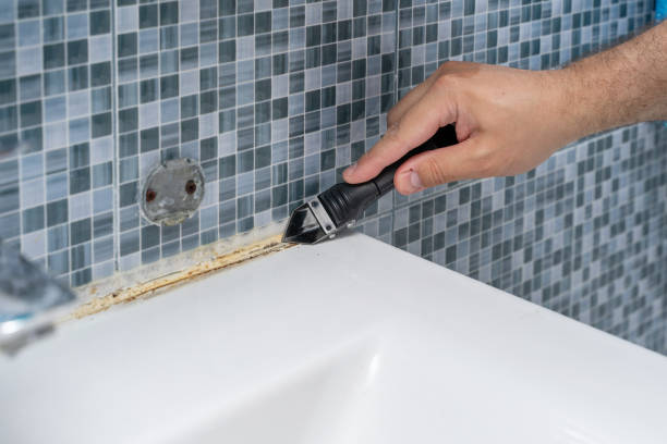 Best Local Mold Removal Service  in Mason, MI