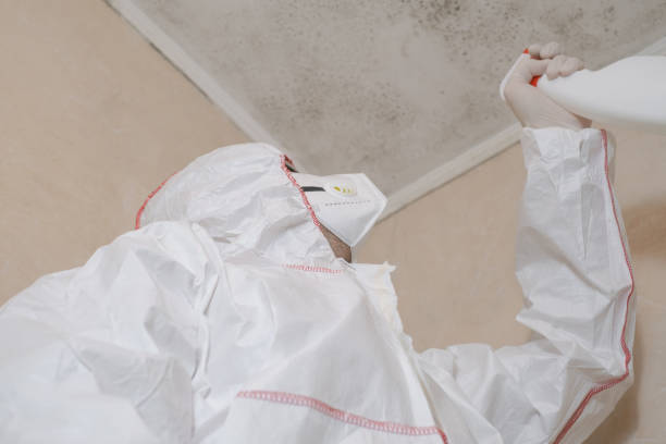 Best Mold Testing  in Mason, MI